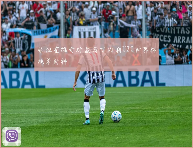 弗拉霍维奇对轰马丁内利U20世界杯绝杀封神