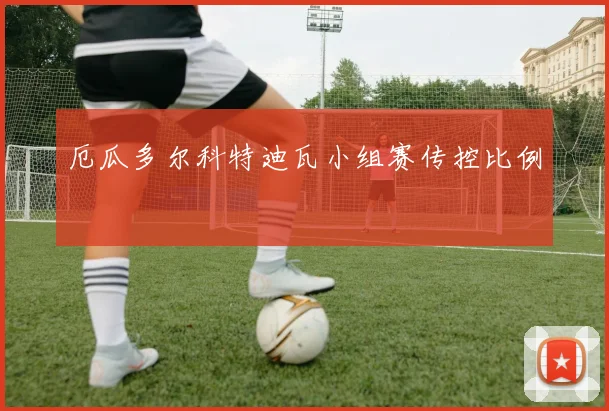 厄瓜多尔科特迪瓦小组赛传控比例