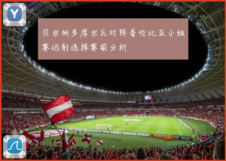 贝尔纳多席尔瓦对阵哥伦比亚小组赛远射选择赛前分析