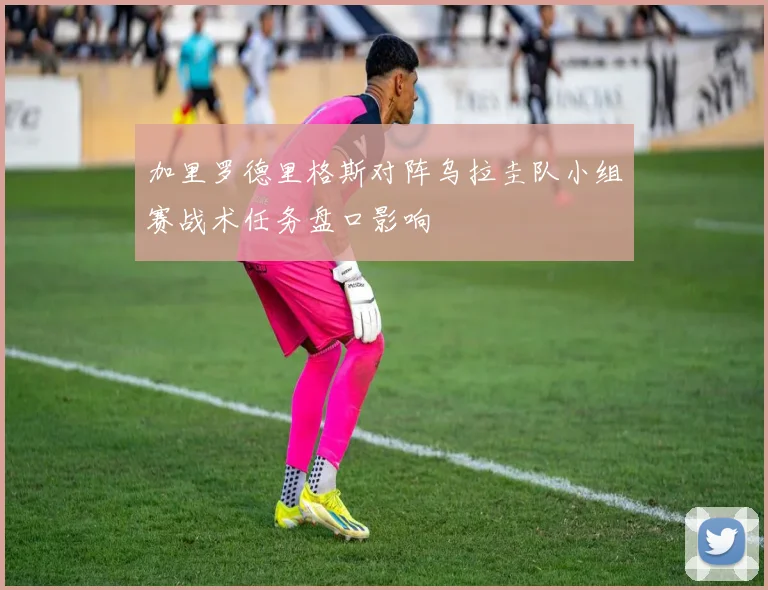 加里罗德里格斯对阵乌拉圭队小组赛战术任务盘口影响