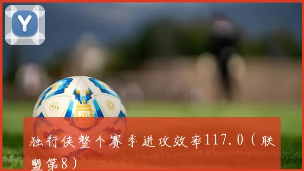 独行侠整个赛季进攻效率117.0（联盟第8）