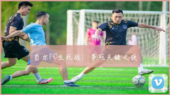 首尔FC生死战：争冠关键之夜
