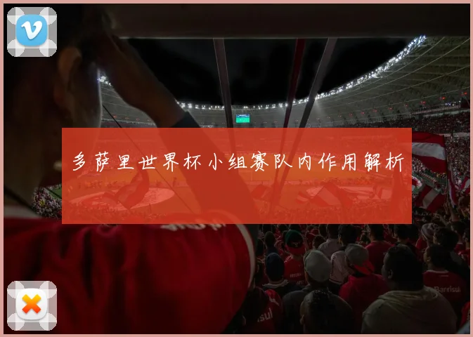 多萨里世界杯小组赛队内作用解析