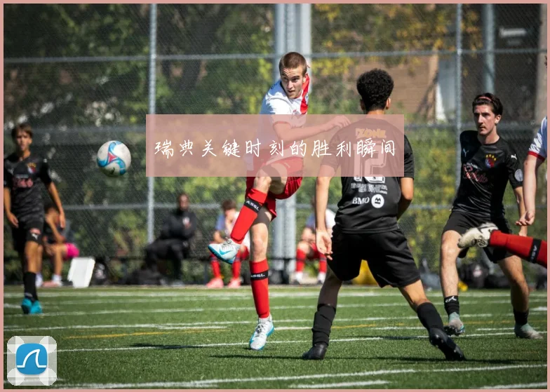瑞典关键时刻的胜利瞬间