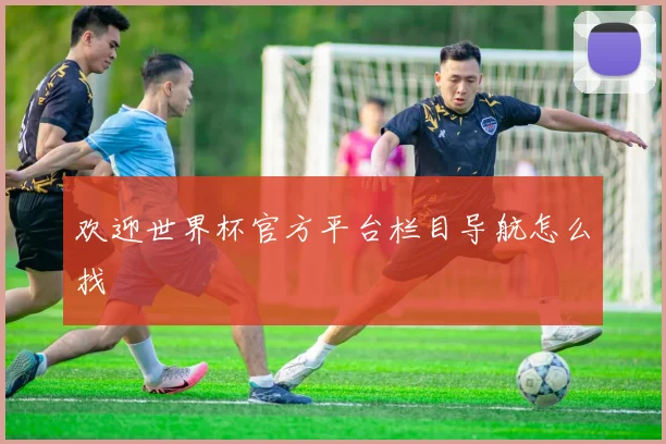 欢迎世界杯官方平台栏目导航怎么找