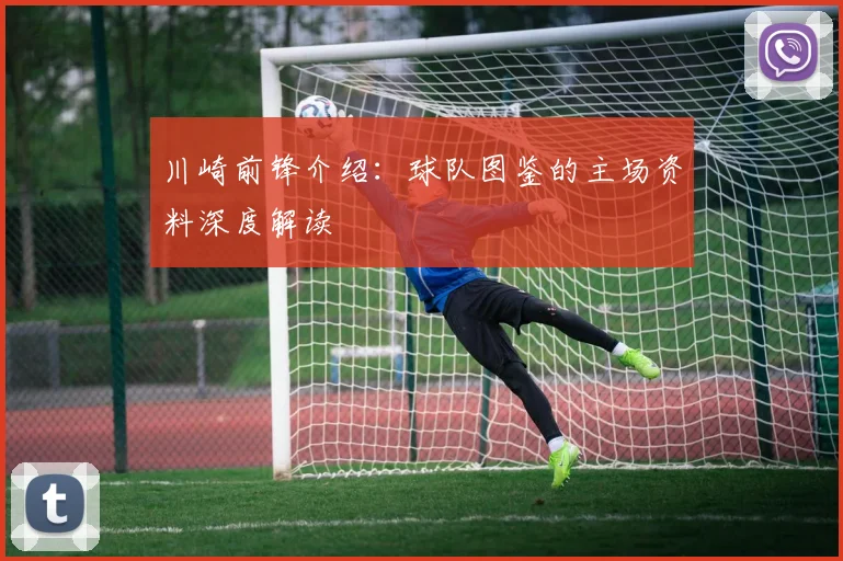 川崎前锋介绍：球队图鉴的主场资料深度解读