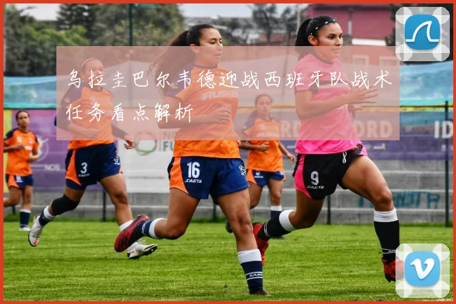 乌拉圭巴尔韦德迎战西班牙队战术任务看点解析