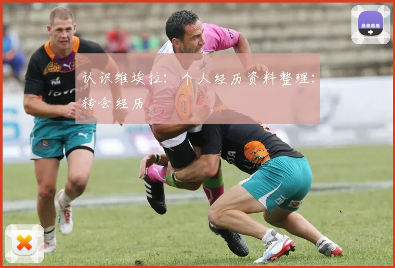 认识维埃拉：个人经历资料整理：转会经历