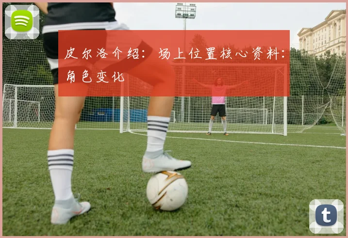 皮尔洛介绍：场上位置核心资料：角色变化
